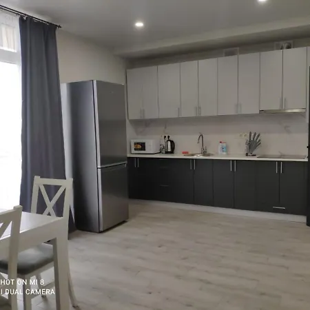 Apartment Domovik миру 11с /11 *